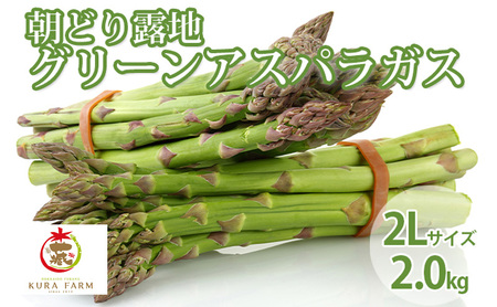 アスパラガス 富良野産 緑 2Lサイズ 露地【約2kg 30～58本】【先行予約】