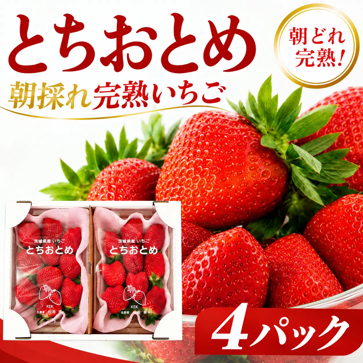 いちご とちおとめ 260g 4パック いちご