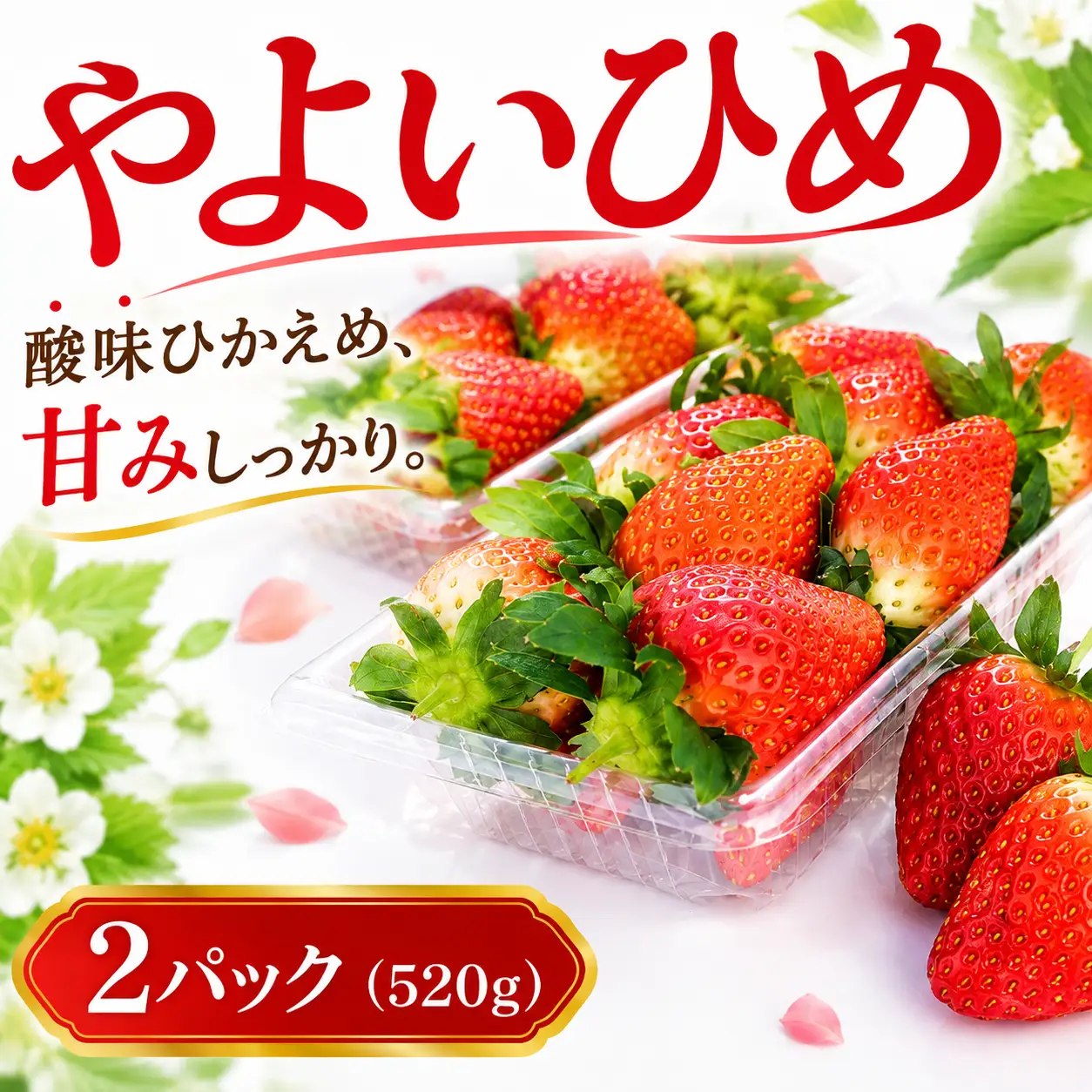 いちご やよいひめ 260g 2パック いちご