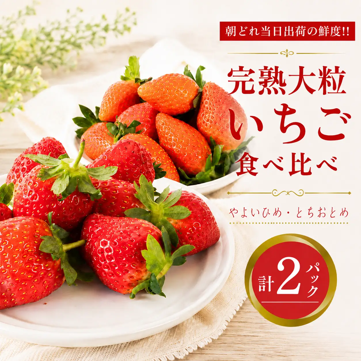 いちご 2種食べ比べ  計 2パック やよいひめ ・ とちおとめ 