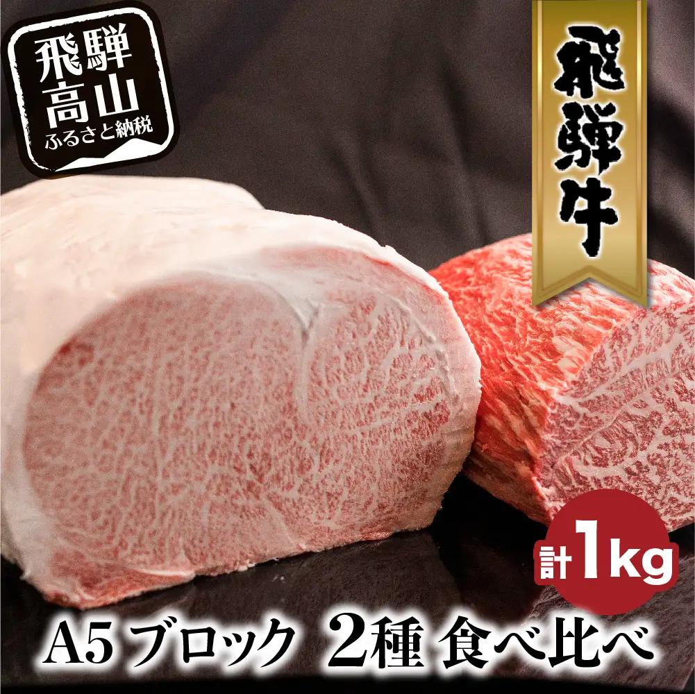 牛肉 A5 飛騨牛 ブロック ２種食べ比べ 1kg（サーロイン500g もも500g） 牛肉 LR001