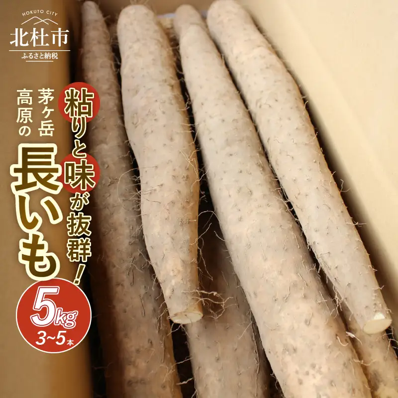 【2026年先行予約】茅ヶ岳高原　粘りと味が抜群の長芋　５㎏箱  [h155]
