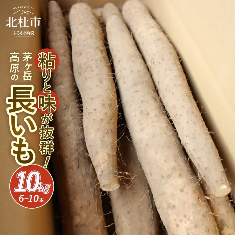 【2026年先行予約】茅ヶ岳高原 粘りと味が抜群の長芋 10kg箱 [h155]