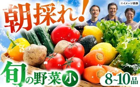 【最速発送】【栽培期間中農薬・化学肥料不使用】土佐の太陽をいっぱいに浴びた旬の野菜セット「小」【土佐野菜】 [ATBA001]　スピード 最短 最速 発送 春 春野菜 旬野菜 野菜詰め合わせ