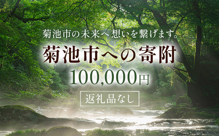 菊池市への寄附(返礼品はありません) 熊本県 菊池市 返礼品なし 100,000円
