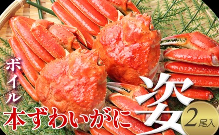 カニ ボイル 本ずわいがに 姿 2尾入り 宮城県亘理町 蟹 かに