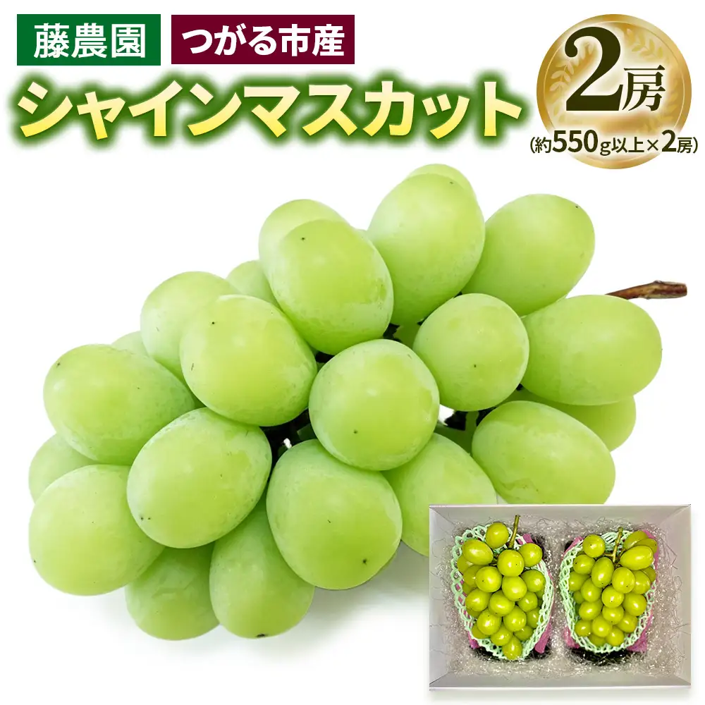 シャインマスカット 2房 (約550g以上×2房)糖度18度以上 [0965]