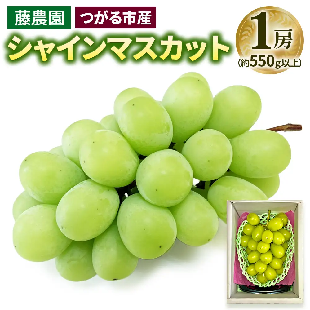 シャインマスカット 1房 (約550g以上)糖度18度以上 [0964]