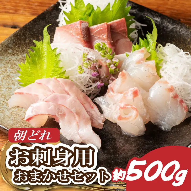 お刺身 2～3種 約500ｇ 鮮魚 おまかせ 鮮魚