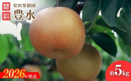 No.1799梨　豊水　約5kg【2026年発送】