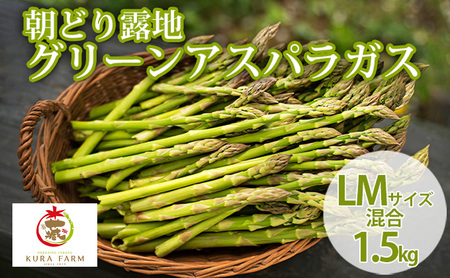 【2027年5月より発送】北海道 富良野市産 アスパラ 緑 (サイズ混合) 約1.5kg (60～88本前後) 朝どり 露地 グリーン アスパラガス 詰め合わせ 野菜 新鮮 数量限定 先着順【藏ファーム】