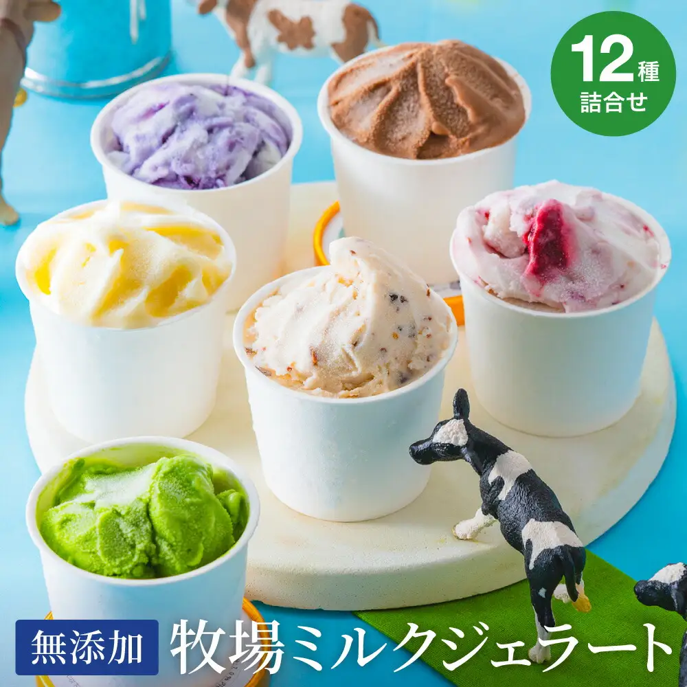 牛飼いのジェラートセット 12種詰め合わせ / 無添加 スイーツ ジェラート シャーベット アイスクリーム 卵 小麦粉不使用 手作り プレセント お土産 贈り物 ギフト お取り寄せ 【狩野牧場】