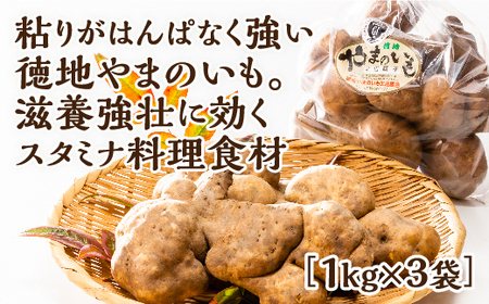 D535 徳地やまのいも800g袋(ご家庭用)×3袋