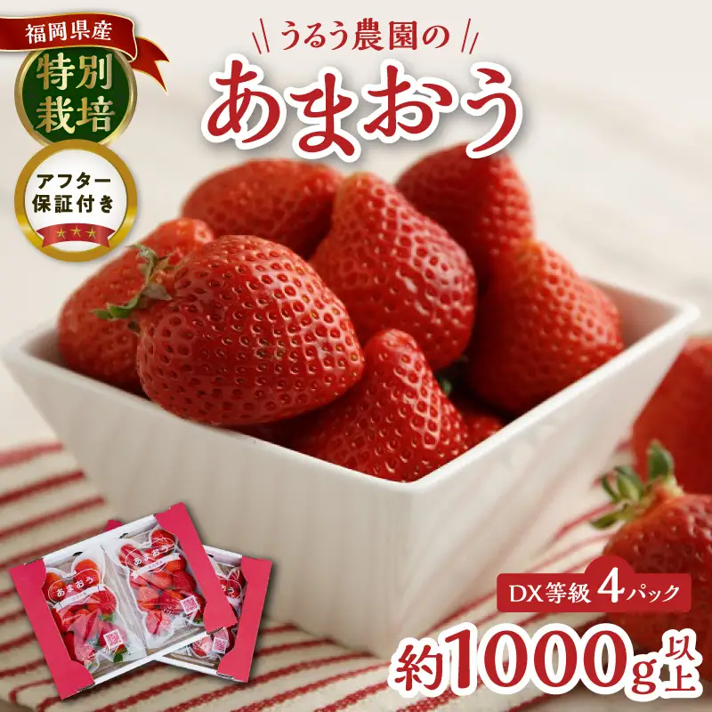 【2026年11月より順次発送】うるう農園のあまおうDX等級 約250～270g×4パック_ いちご フルーツ 果物 〔Fi008〕