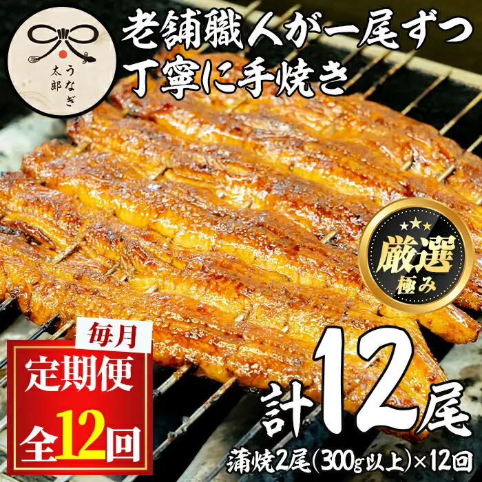 【1303701b】＜定期便・全12回(連続)＞鹿児島県産東串良町のうなぎ蒲焼(1尾・150g以上・秘伝のタレ付き×12回)【うなぎ太郎】