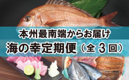 【定期便】3ヶ月分 本州最南端からお届け♪ 海の幸定期便【tkb121】