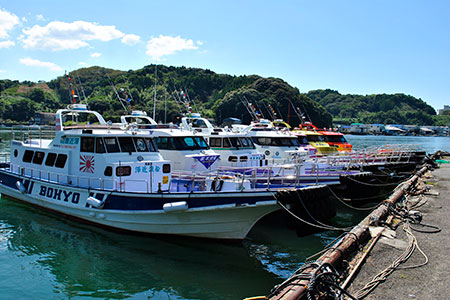 沖島・鵜来島磯釣り券 釣り券