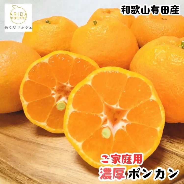 ［先行予約］極甘 柑橘 有田育ちの 濃厚 ポンカン（家庭用）3kg［MS44］