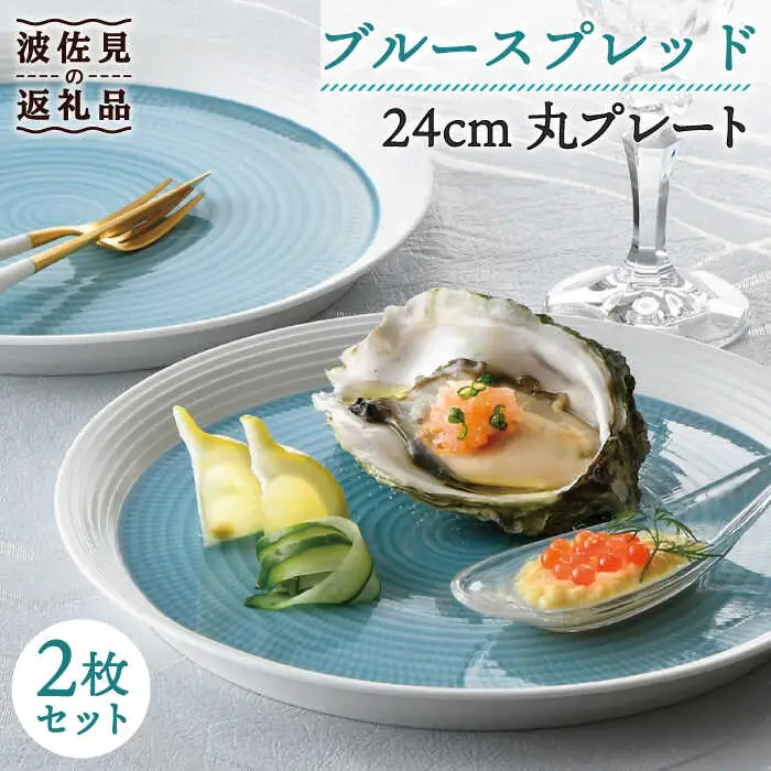 【波佐見焼】ブルースプレッド 24cm 丸皿 プレート 2枚セット 食器 皿 【一真窯】 [BB46]  波佐見焼