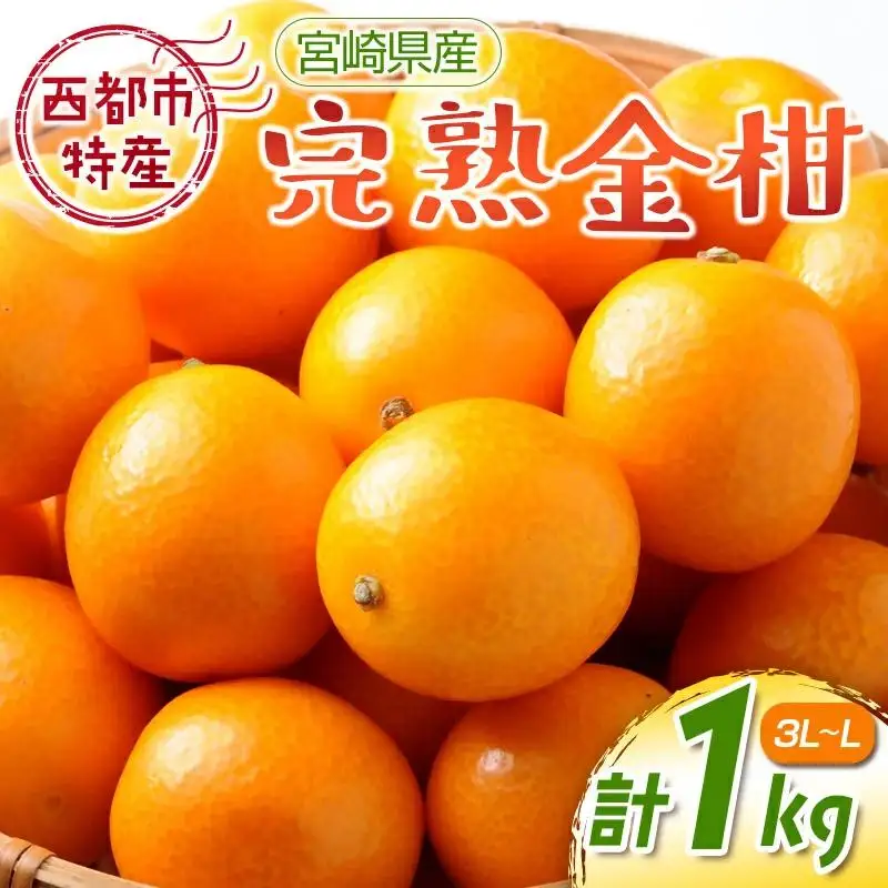 【先行予約】宮崎県西都市産 完熟きんかん １kg（3L～L）　2027年発送＜18-7a＞