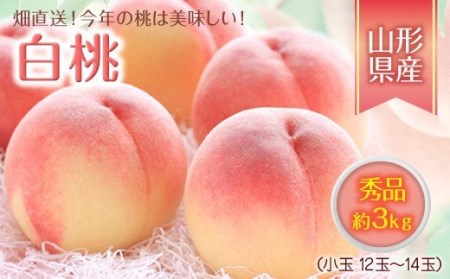 《先行予約 2026年度発送》今年の桃は美味しい！畑直送、小玉ですが秀品3kg！ もも モモ 桃 デザート フルーツ 果物 くだもの 果実 食品 山形県 FSY-2497