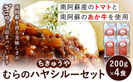 ちきゅうや「むらのハヤシルー」 200g×4食 セット 計800g 《30日以内に出荷予定(土日祝除く)》 熊本県 南阿蘇村 送料無料 ハヤシルー st-p
