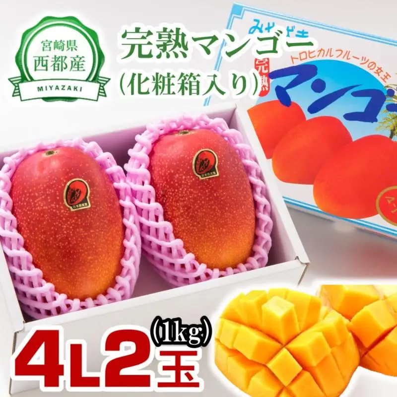 【先行予約】大玉！糖度12度以上 西都市産完熟マンゴー4L×2玉（計1kg程度） 2026年発送＜26-2a＞