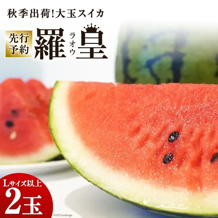 CF164【令和8年度出荷分】秋季出荷！大玉スイカ～羅皇（ラオウ）～（Lサイズ6kg以上×2玉入）