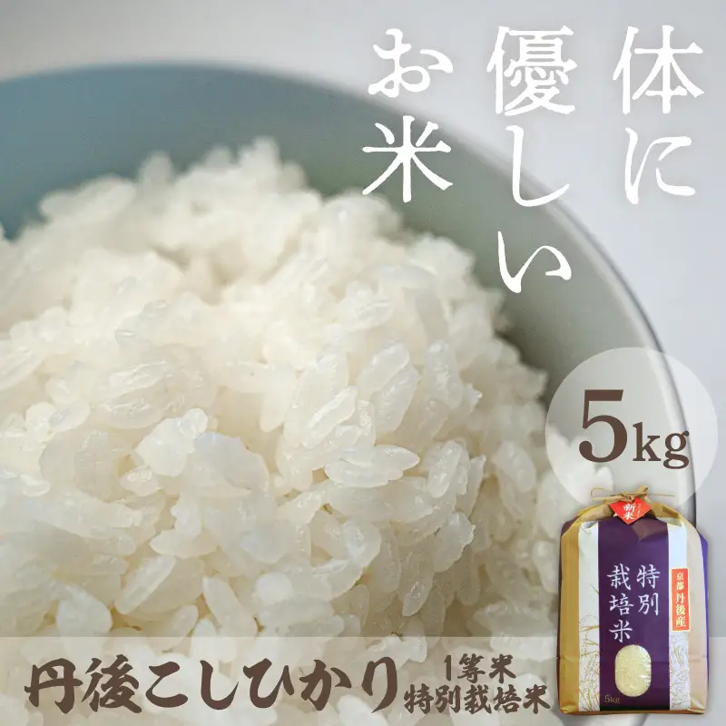 コシヒカリ 5kg 令和8年 白米 精米 コシヒカリ