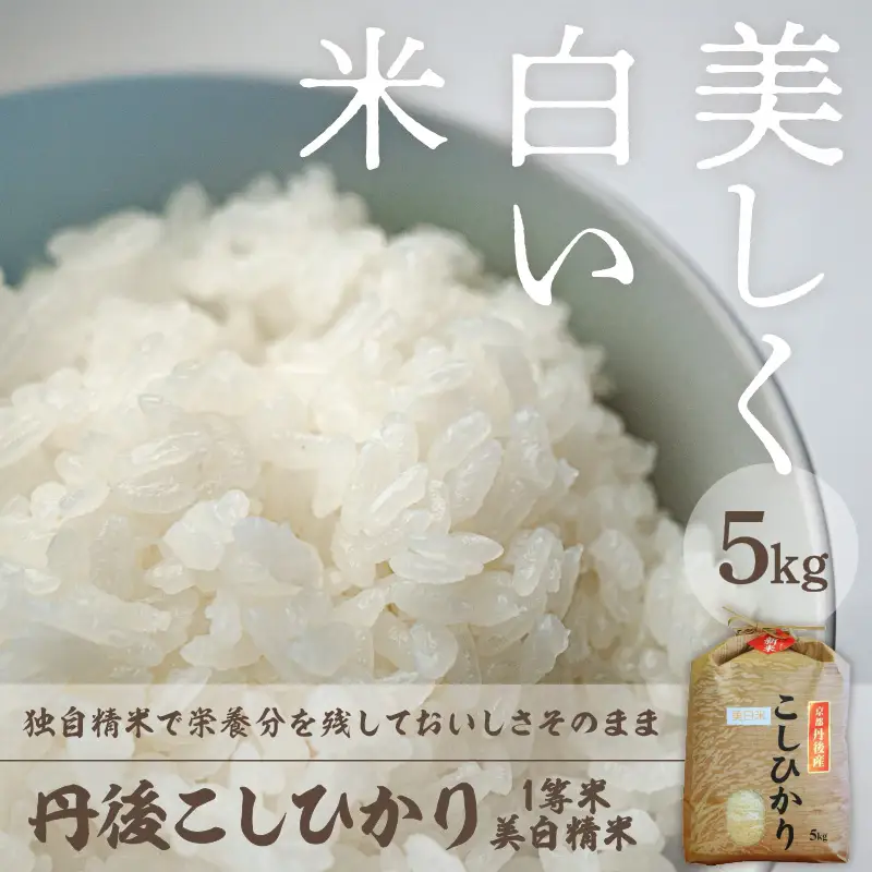 白米コシヒカリ 5kg 令和7年産コシヒカリ精米