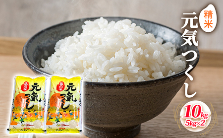 米 10kg 元気つくし 5kg×2袋 精米 こめ コメ お米 白米 