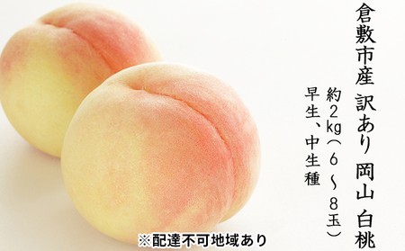 桃 2027年 先行予約 訳あり 白桃 約2kg（6～8玉）早生、中生種 もも モモ 岡山県 倉敷市 産 国産 フルーツ 果物 花田青果
