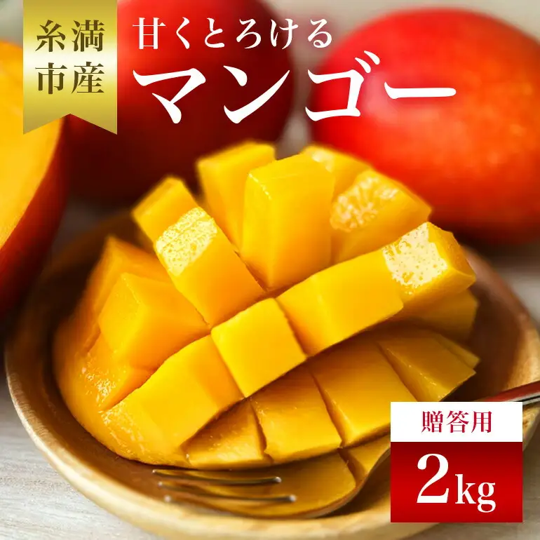 【 先行予約 2026年 発送 】 かねよしマンゴーの甘くとろける マンゴー 2kg ( 贈答用 ) 沖縄県産 アップルマンゴー アーウィンマンゴー 2キロ 国産 完熟マンゴー 果物 くだもの フルーツ 完熟 夏 旬 沖縄 産地直送 農家直送 ギフト 贈答品 糸満市 93-3