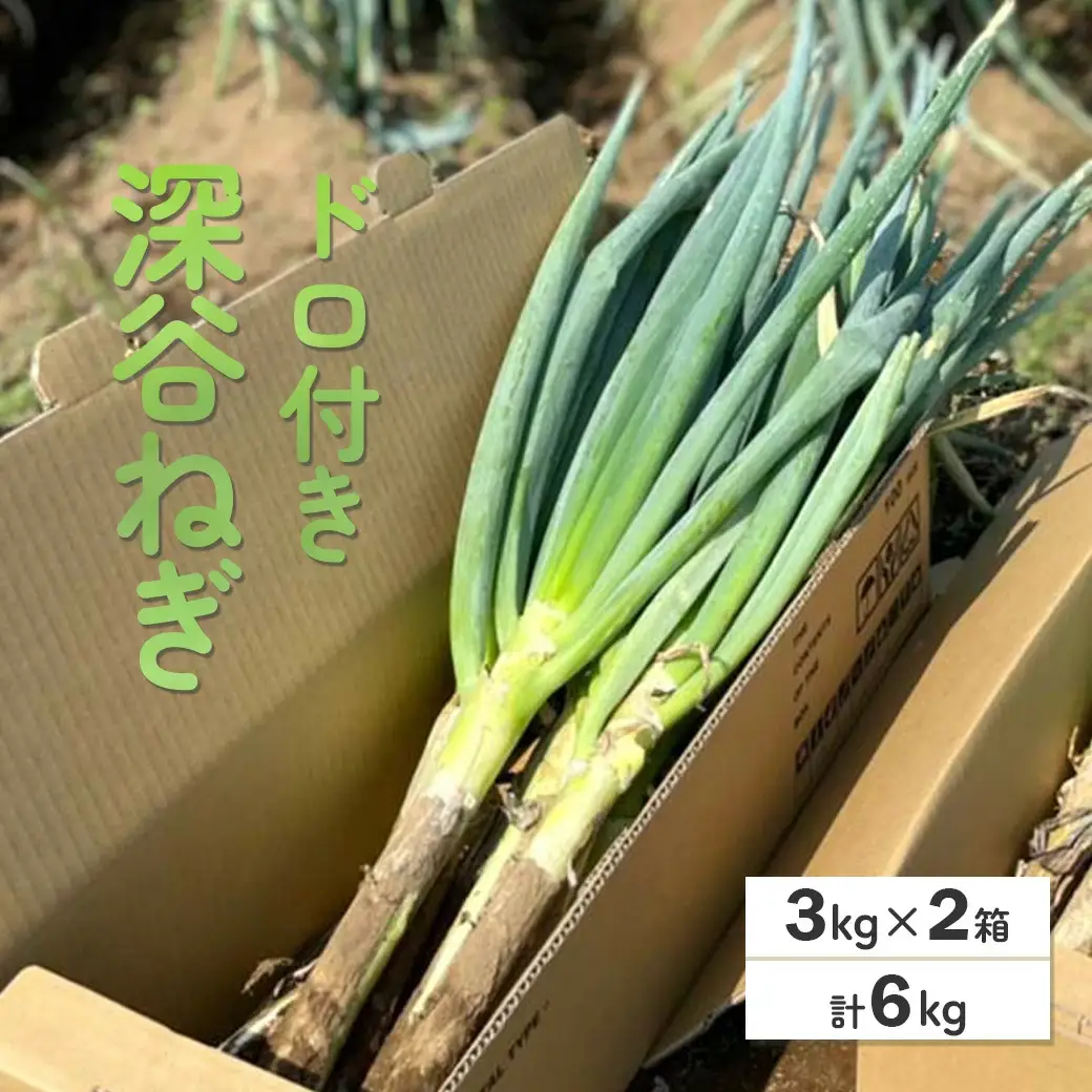 ＜先行予約＞深谷ねぎ（ドロ付き）3kg×2箱／計6kg　【11218-0210】