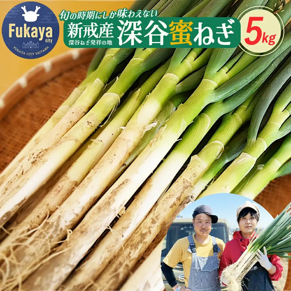 ＜先行予約＞深谷新戒産　深谷ねぎ　5kg　【11218-0381】