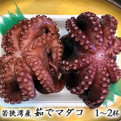 まだこ 若狭湾産 茹で天然マダコ 2杯 約1 まだこ