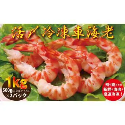 【南西興産】久米島の生産者から直送！活〆冷凍有頭車海老1kg：500g(20-25尾 4～5人前)×2パック