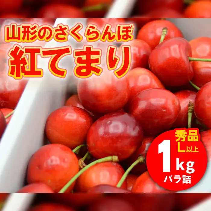 山形のさくらんぼ 紅てまり 1kg Lサイズ以上 バラ詰 【令和9年産先行予約】FS26-638