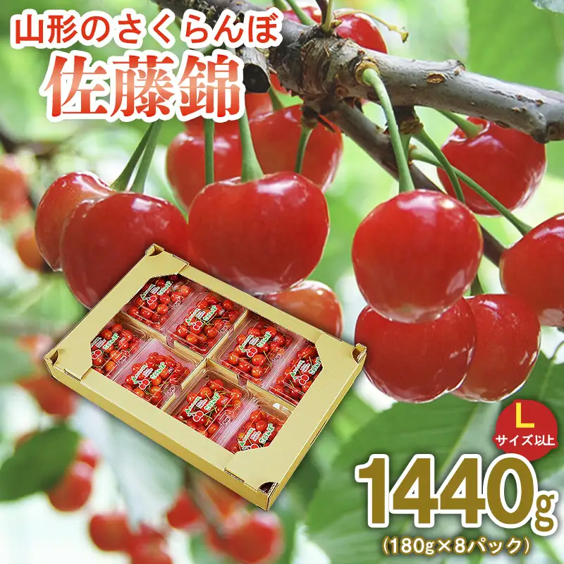 山形のさくらんぼ 佐藤錦  1440g (180g×8パック)Lサイズ以上 【令和9年産先行予約】FS25-515