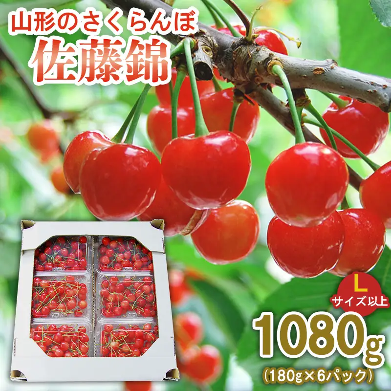 山形のさくらんぼ 佐藤錦 1080g (180g×6パック) Lサイズ以上 【令和9年産先行予約】FS25-514