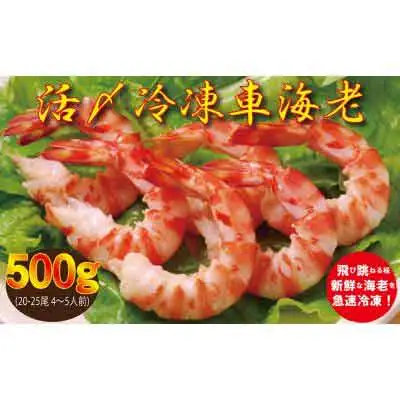【南西興産】久米島の生産者から直送！活〆冷凍有頭車エビ 500g(20-25尾 4～5人前)