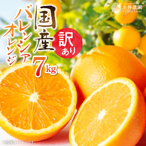 主井農園 国産 バレンシアオレンジ 【訳あり 家庭用】 7kg_ZS6102n