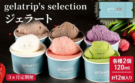 ≪3ヶ月定期便≫ジェラート12個 gelatrip's selection 北海道 上富良野町 アイス