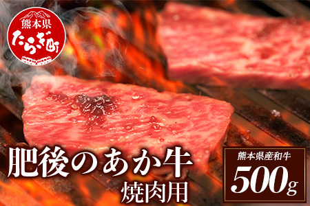 【定期便6回】熊本県産 和牛 肥後のあか牛 焼肉用 500g ×6回 計3kg あか牛 赤牛 肥後のあか牛 熊本県産あか牛 人気あか牛 あか牛焼肉 人気あか牛焼肉用 和牛焼肉 牛肉焼肉 牛肉 焼き肉 定期便 030-0382