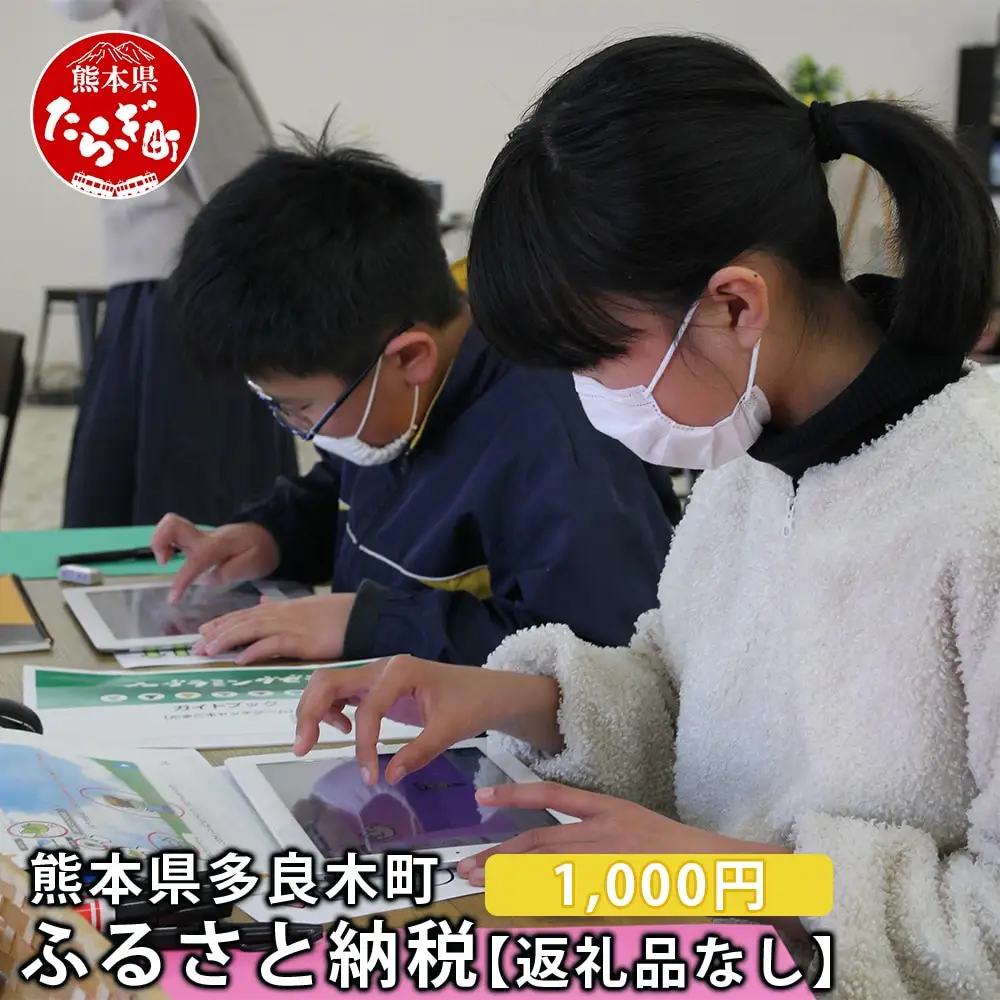 熊本県多良木町への寄附（返礼品はありません）【 ふるさと納税 熊本県 多良木町 応援 寄附 】028-0344