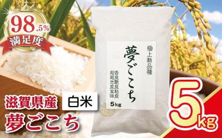 令和7年産 夢ごこち 5kg 白米【T034W3】近江米 ご飯 精米