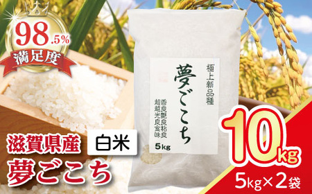  令和7年産 夢ごこち 10kg 白米 【T035W3】 近江米 ご飯 精米 5kg 2袋