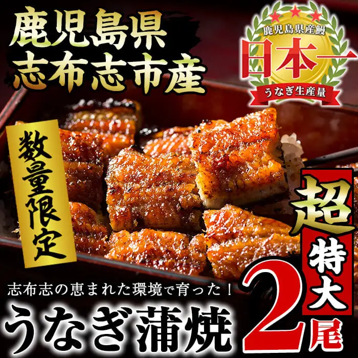 【数量限定】うなぎの大楠＜超特大＞2尾セット計380g以上(190g×2) うなぎ 鰻 ウナギ 2尾 国産 九州産 蒲焼き かばやき 冷凍 うな重 ひつまぶし タレ 山椒 真空パック ランキング 人気 a7-002