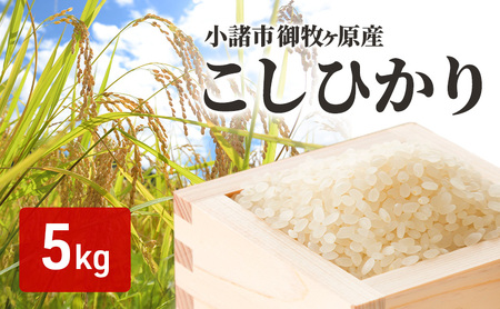こしひかり 御牧ヶ原産 精米 5kg こしひかり