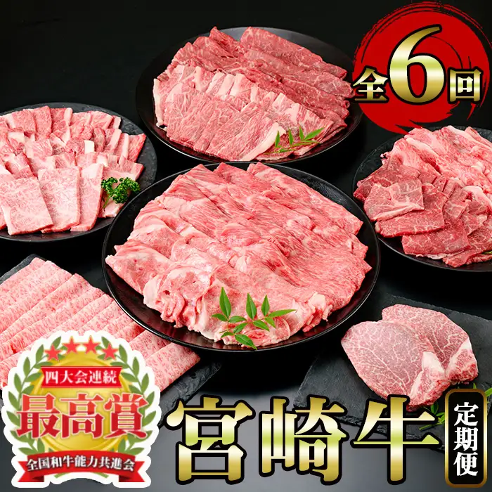 ＜定期便・6回(連続)＞宮崎牛・定期便B(6ヶ月)国産 宮崎県産 宮崎牛 牛肉 ステーキ 焼肉 A4 肩ロース ウデ ロース ヒレ【MI003】【(株)ミヤチク宮崎加工センター】